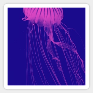 Fuchsia Glowing Jelly Fish Sticker